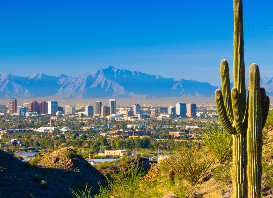 Img Phoenix